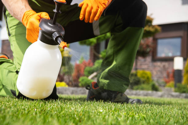 Best Best Pest Control Companies  in White Oak, PA
