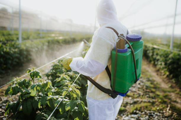 Best Pest Control Near Me in White Oak, PA